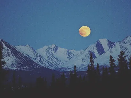 Full Moon Meditation: Wild Power