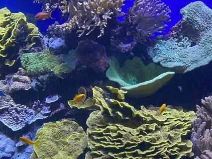 Full Moon Meditation