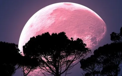 Our Need For Each Other - Interdependence Meditation