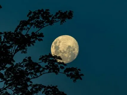 Full Moon Percussions Ritual Visualization