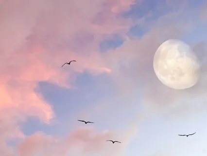 Full Moon Practice - Letting Go And Creating Space