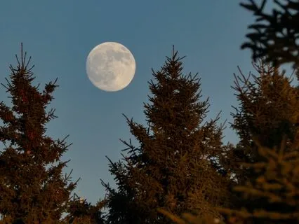 Full Moon Prosperity Meditation Ritual