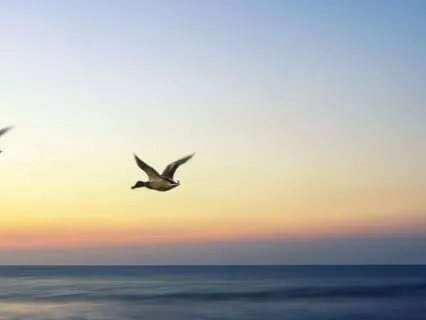 Full Moon Release: A Sound Journey Of Letting Go