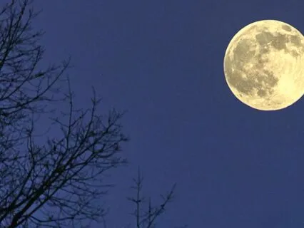 Full Moon: Release And Illumination
