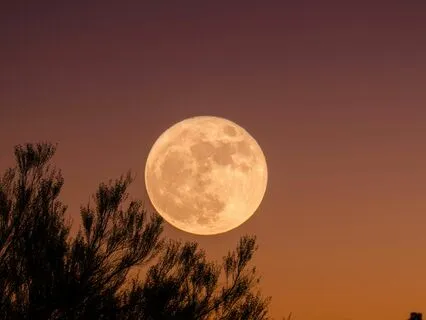Full Moon - Release And Manifest Meditation