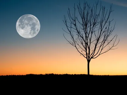 Full Moon Sound Bath: Crystal Singing Bowls