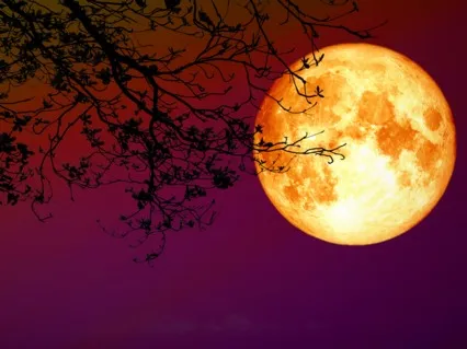 Full Moon Sound Bath: Harvest Moon | Crystal Singing Bowls