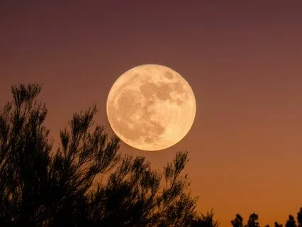 Full Moon Sound Bath: Release And Reset