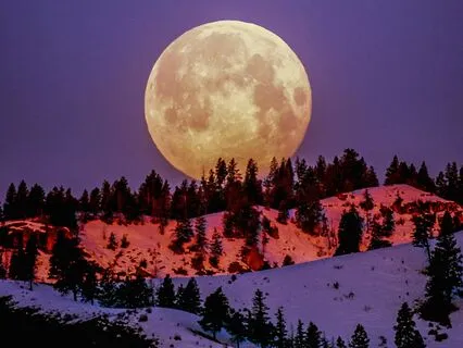 Full Moon Sound Bath