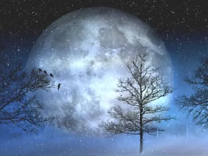 Speak Your Truth Meditation