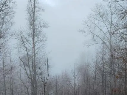 Full Moon Threshold — January 2026