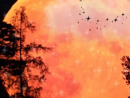 Full Moon Tibetan SoundBath With Nighttime Nature Sounds