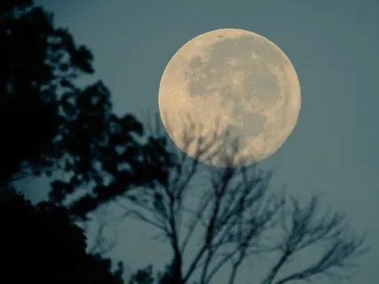 Full Moon Yoga Nidra