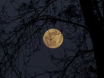 Full Moon Yoga Nidra