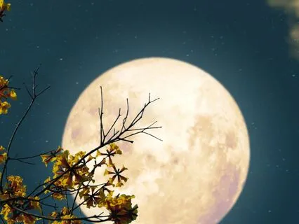 Full Moon Yoga Nidra | 30 Minutes