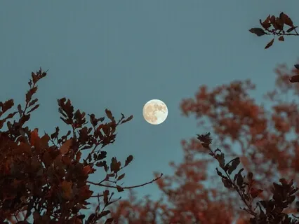 Full Moon Yoga Nidra - Connecting With Our Truth(s)