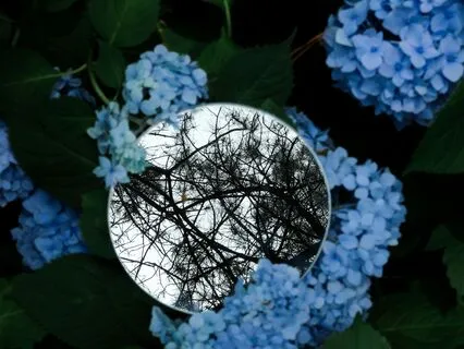 Full Moon Yoga Nidra To Rest And Blossom (Flower Moon)