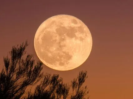 Full Moon Yoga Nidra