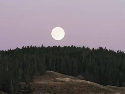 Full Moon Yoga Nidra
