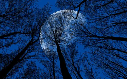 Full Night's Sleep 432Hz