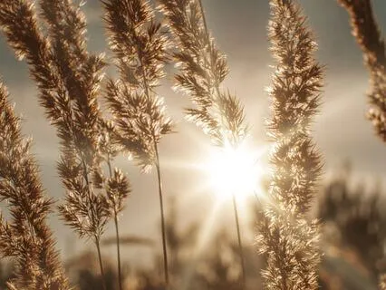 Full of Positive Energy Uplifting Binaural Beats