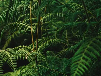 [Full On!] DMT Breathing - 9 Rounds (Matrix Edition)