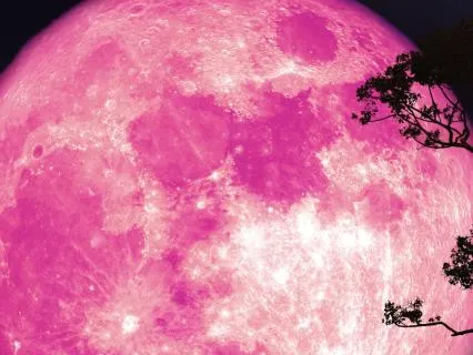 Full Pink Moon: April Meaning & Ritual