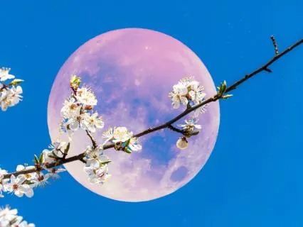 Full Pink Moon In April Meditation