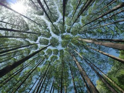 Full Recovery - Stress Relief