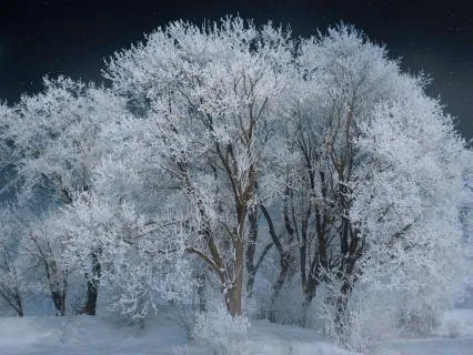 Full Snow Moon In Leo 528 Hz For Radiance And Inner Strength