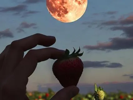 Full Strawberry Moon Poem