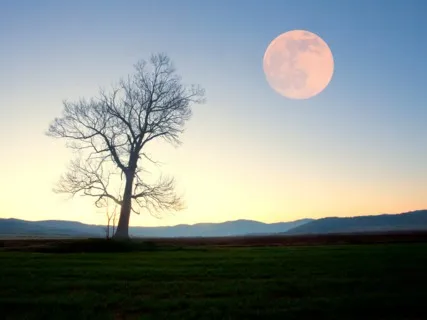 Full Super Moon/Eclipse Sound Bath: Crystal Singing Bowls