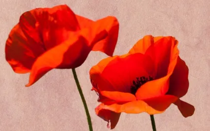 Full Unwind™ Practice