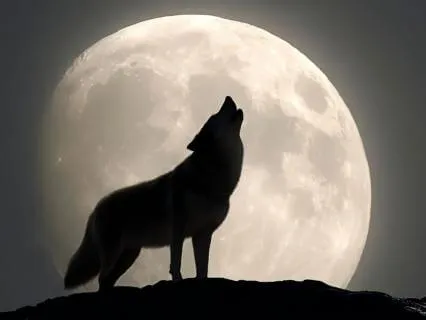 Full Wolf Moon Meditation