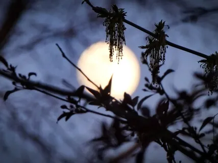 Full Worm Moon And Planting Seeds Of Growth