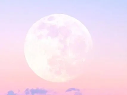 Pink Moon Opening: A Poem