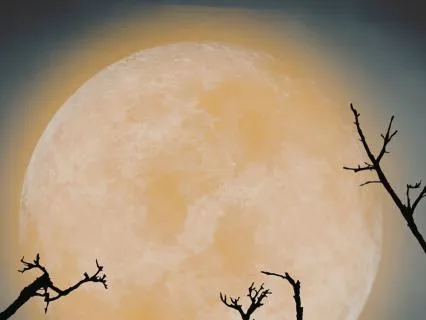 Full Worm Moon Meditation