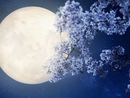 Full Moon Meditation