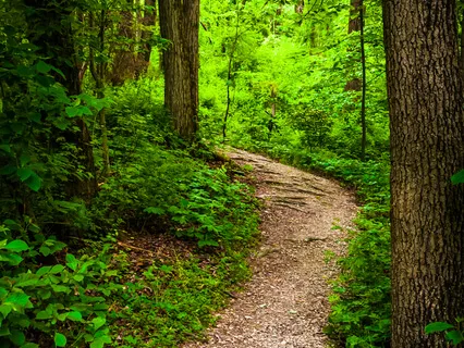 Fully Guided Trance Induction (Betty Erickson Style) To Control Room (With Music + Binaural Beats)