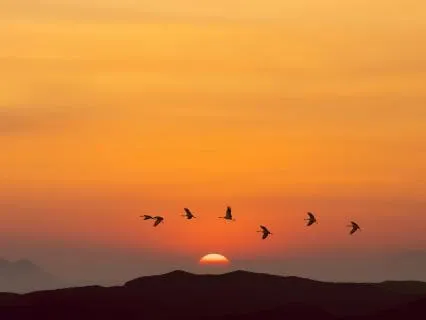 Fully Human. Fully Divine. 396, 639, 2675 Hz Tuning Forks