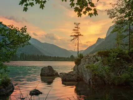 Fully Rest For A Few Minutes