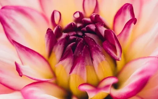 Fully Seen: A Meditation