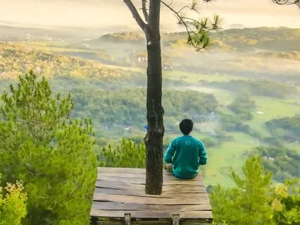 Function Of The Mind & Concentration During Meditation 