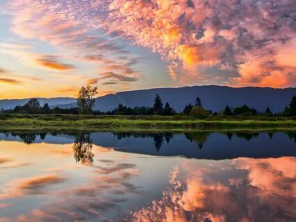 Functional Freeze Healing Using EFT Tapping