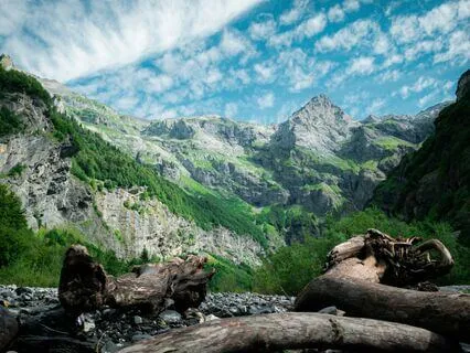 Future Self Alignment