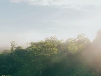 Future Self Embodiment For Nervous System Regulation