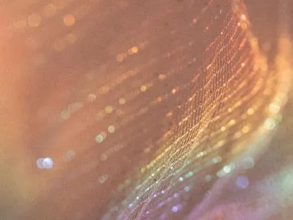 Future Self Meditation For The New Year