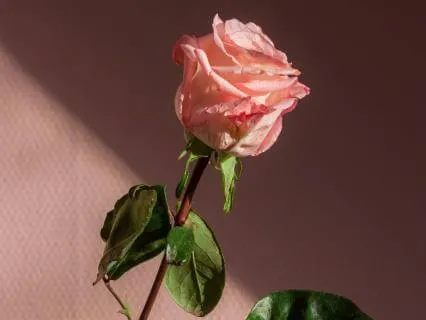 Future Self Meditation: Love & Worthiness