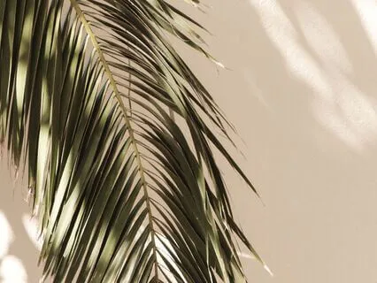 Future Self Meditation