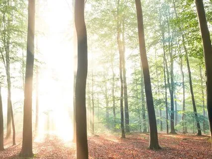 Future Self Visualization: Clarity, Motivation, Habit Change